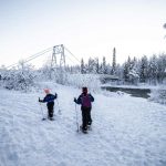 Actividades en Laponia con niños